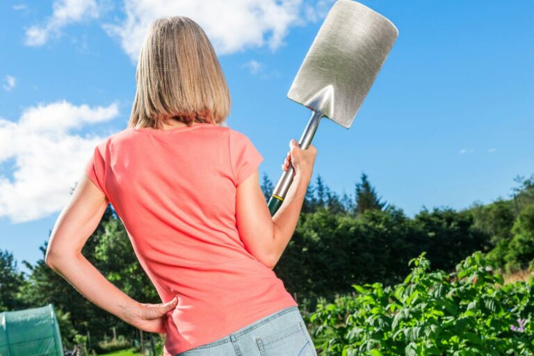 Área para Fazer um Jardim