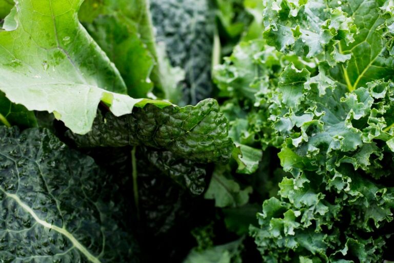 verduras de folhas